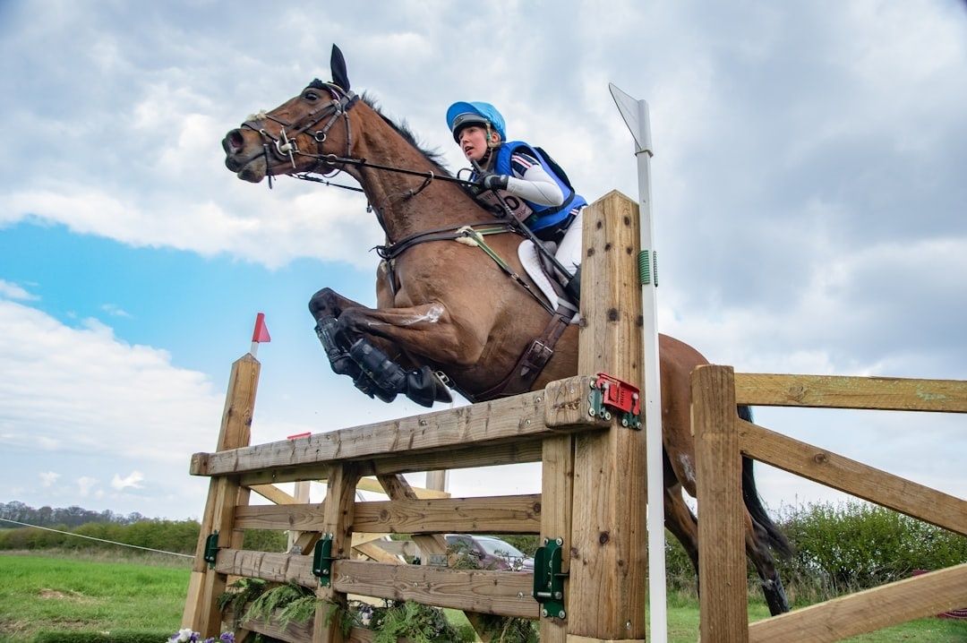 Horse and rider clearing a wooden cross-country jump with safety fittings